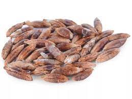 jujube seed -Liver Guard Plus.